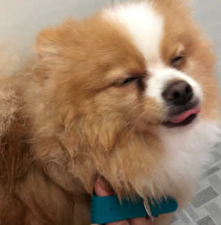 럽영님이 올린 리뷰 사진 1