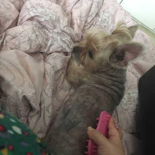 아라아빠님이 올린 리뷰 사진 1