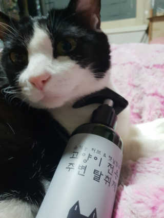 mmihaa님이 올린 리뷰 사진 3