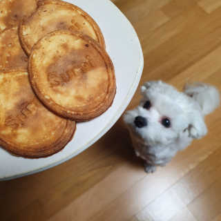 멍뭉e당님이 올린 리뷰 사진 3
