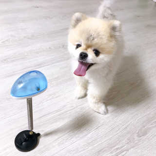 덕구리누나님이 올린 리뷰 사진 1