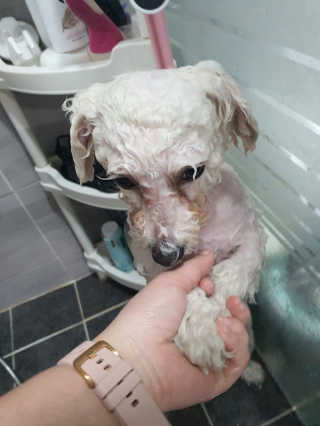 두부베리님이 올린 리뷰 사진 2