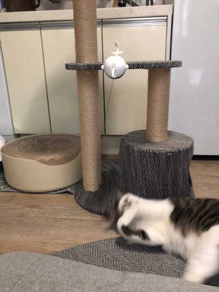 거니건이님이 올린 리뷰 사진 4