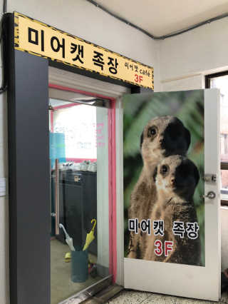 바니짱님이 올린 리뷰 사진 2