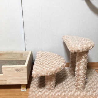 [펫토리아] 한탭뚝딱 강아지계단 BEST 모음 — 5점을 준 리뷰어가 2019년 1월 올린 사용 사진