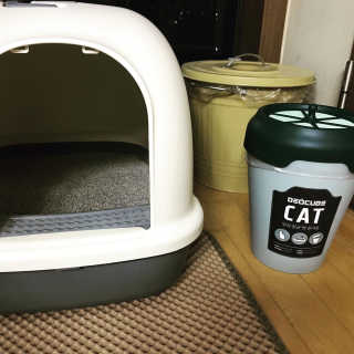 cola님이 올린 리뷰 사진 2
