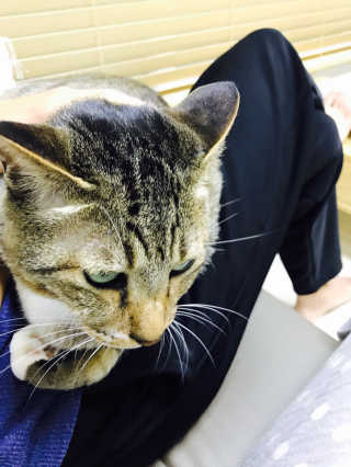 하루님이 올린 리뷰 사진 4