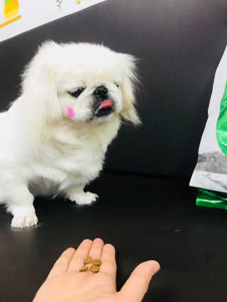 쏭님이 올린 리뷰 사진 2