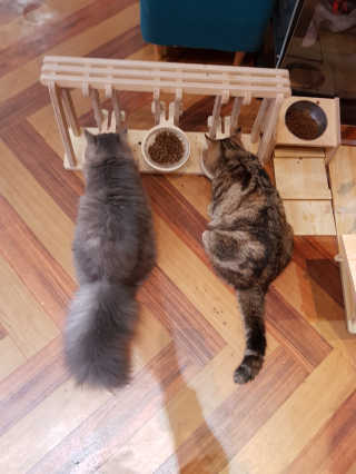 SangKiSon님이 올린 리뷰 사진 3
