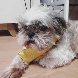 안예솔님이 올린 리뷰 사진 3