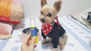 솜희님이 올린 리뷰 사진 2