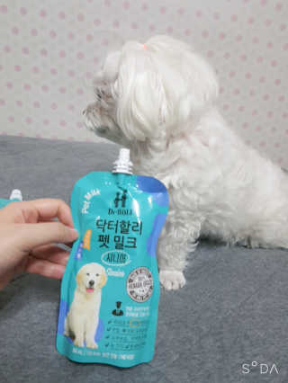 닥터할리펫밀크 8종 — 5점을 준 리뷰어가 2019년 10월 올린 사용 사진