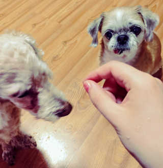 슬기네스님이 올린 리뷰 사진 3