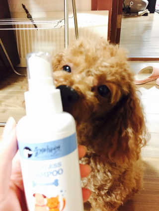 채정이님이 올린 리뷰 사진 1