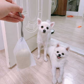 하이내처 해피샴푸바 — 4.5점을 준 리뷰어가 2019년 6월 올린 사용 사진