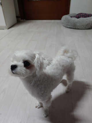옐로우님이 올린 리뷰 사진 3