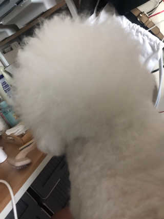 갱스님이 올린 리뷰 사진 3