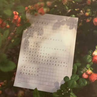 밤코비님이 올린 리뷰 사진 2
