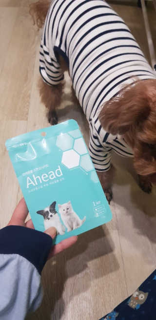 란이님이 올린 리뷰 사진 1