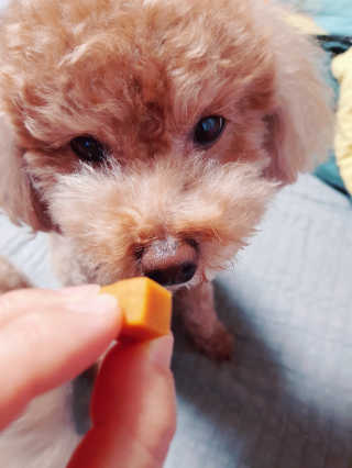 뚠꾸뚠꾸💕님이 올린 리뷰 사진 4