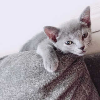 보현님이 올린 리뷰 사진 3