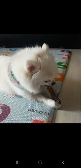 초초님이 올린 리뷰 사진 3