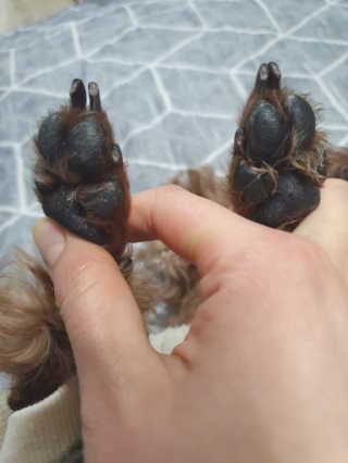 *명*수*님이 올린 리뷰 사진 3