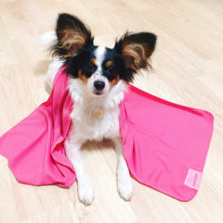 마법의성님이 올린 리뷰 사진 3