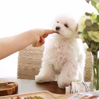 nanisister님이 올린 리뷰 사진 3