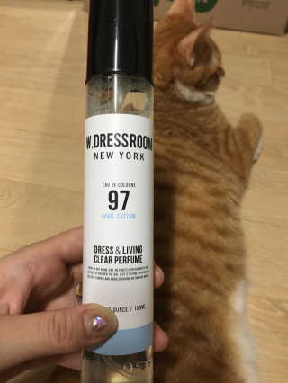 더블유드레스룸 드레스퍼퓸 150ml — 4.67점을 준 리뷰어가 2018년 8월 올린 사용 사진
