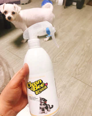 반려동물 전용 탈취살균수 클린비하트 — 5점을 준 리뷰어가 2018년 4월 올린 사용 사진