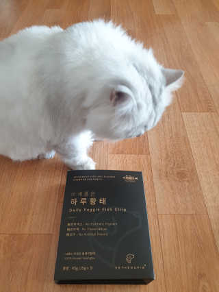 펫테라피 플레이트 야채품은 하루황태 — 5점을 준 리뷰어가 2019년 12월 올린 사용 사진