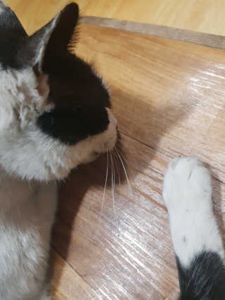혀니♡님이 올린 리뷰 사진 4