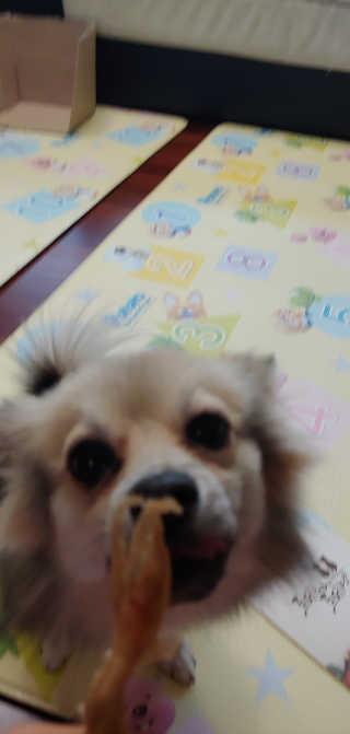 냐냐냥님이 올린 리뷰 사진 3