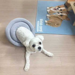 제진영님이 올린 리뷰 사진 1