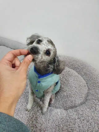 갱스님이 올린 리뷰 사진 3