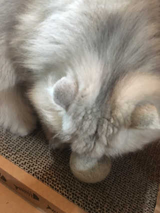 럽S하3님이 올린 리뷰 사진 4