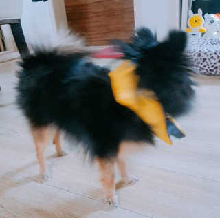 정준혁님이 올린 리뷰 사진 2
