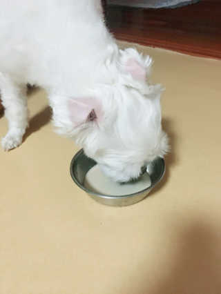 인애님이 올린 리뷰 사진 3