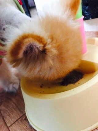 쿠키쿠님이 올린 리뷰 사진 3