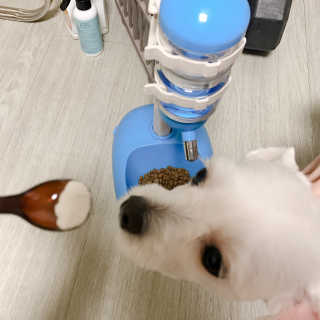 재로우 제로우 펫 도필러스 반려동물 유산균 영양제 70.5g — 5점을 준 리뷰어가 2018년 7월 올린 사용 사진
