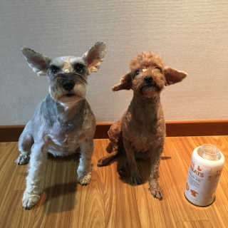 KyuBeomKwon님이 올린 리뷰 사진 1
