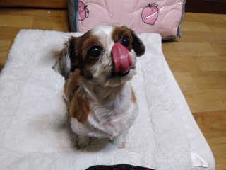 기나긴님이 올린 리뷰 사진 4