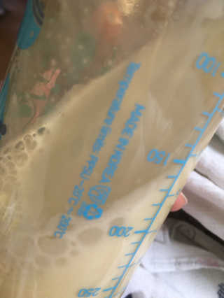 도도맘님이 올린 리뷰 사진 4
