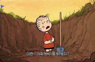 브아피님이 올린 리뷰 사진 1