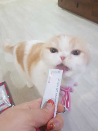 소피마르소님이 올린 리뷰 사진 4