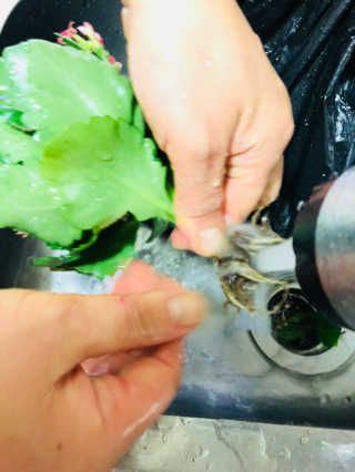은채님이 올린 리뷰 사진 4