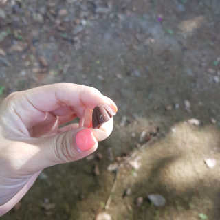 가라미님이 올린 리뷰 사진 2