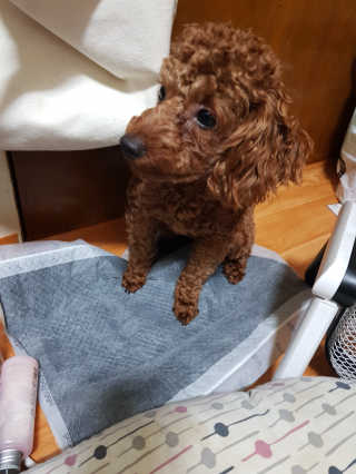 jin68님이 올린 리뷰 사진 2