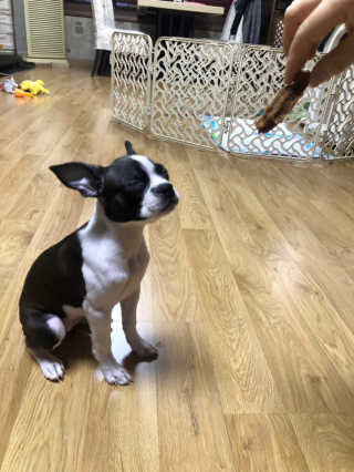 싸다구님이 올린 리뷰 사진 2